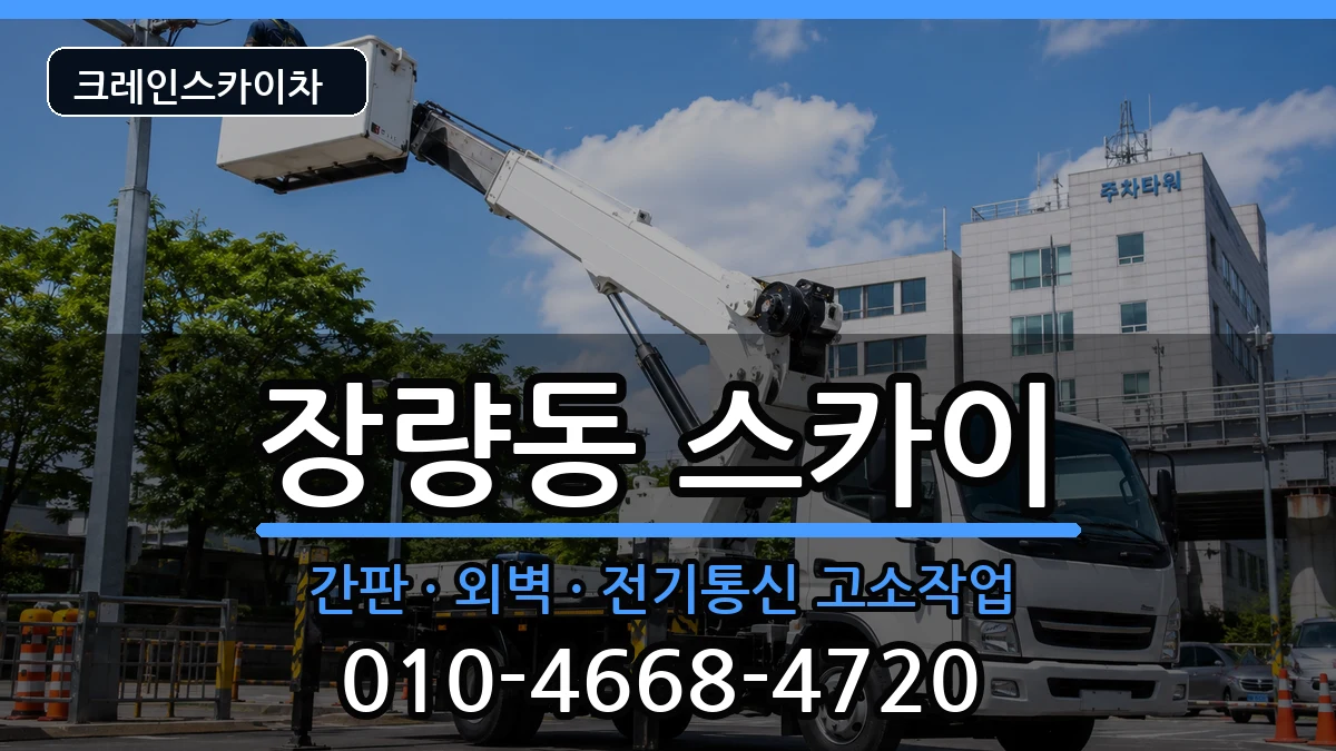 경상북도포항시북구장량동 스카이 경상북도포항시북구장량동 스카이 장비 처리 안내 이미지 1