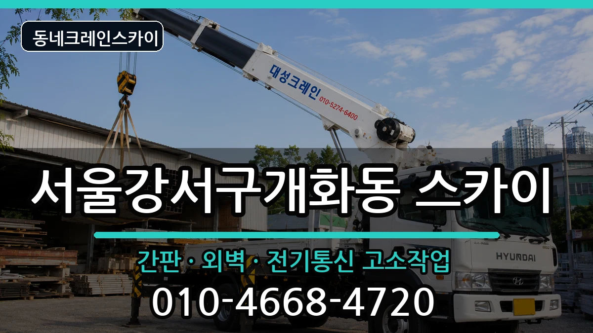 서울강서구개화동  스카이 질문형